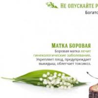 Reviews about Decoction of Matryona (Matrona) from infertility