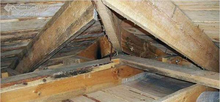 Ceiling insulation in a house with a cold roof - choose one of the ways