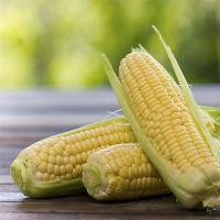 The benefits and harms of boiled corn for human health Vacuum packed corn benefits and harms